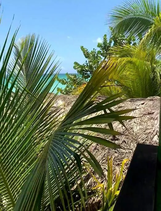 Bungalow Studio Wifi & Hot Water Apartment Mammee Bay Jamaica